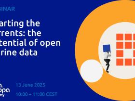 Recording webinar 'Charting the currents: the potential of open marine data'